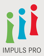 WKO ImpulsPro Icon